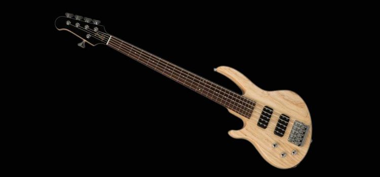 Gibson EB Bass 5-string 2019: Penambahan Agresif pada EB Lineup